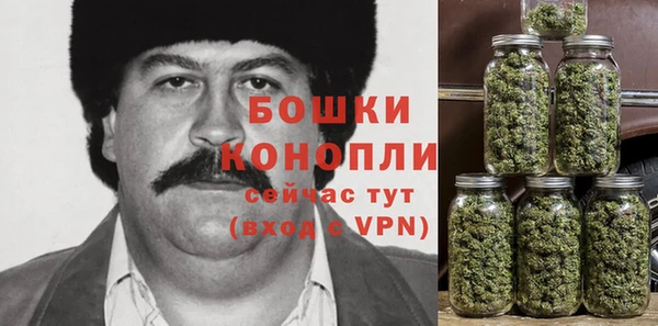 ПСИЛОЦИБИНОВЫЕ ГРИБЫ Аркадак