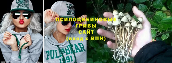 эйфоретик Арсеньев
