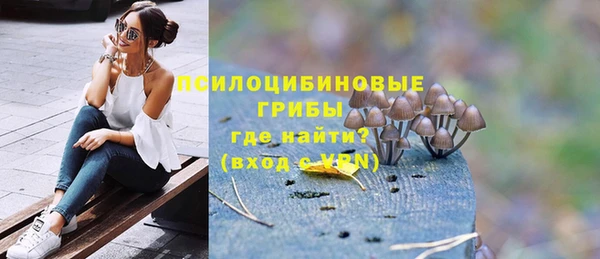 ПСИЛОЦИБИНОВЫЕ ГРИБЫ Аркадак