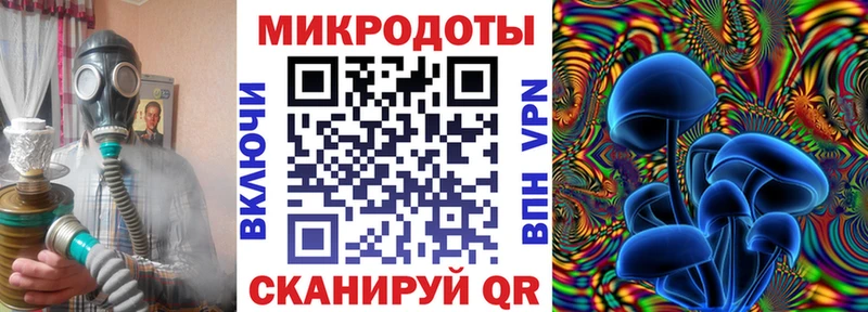 Галлюциногенные грибы MAGIC MUSHROOMS  это как зайти  Камешково 